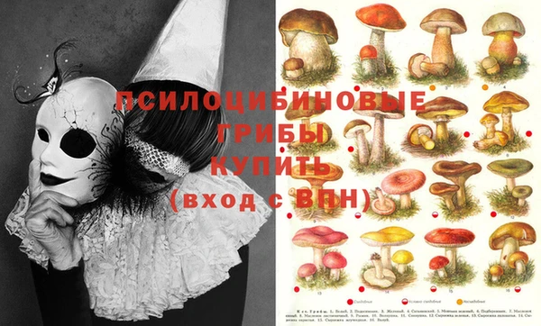 ECSTASY Дмитров