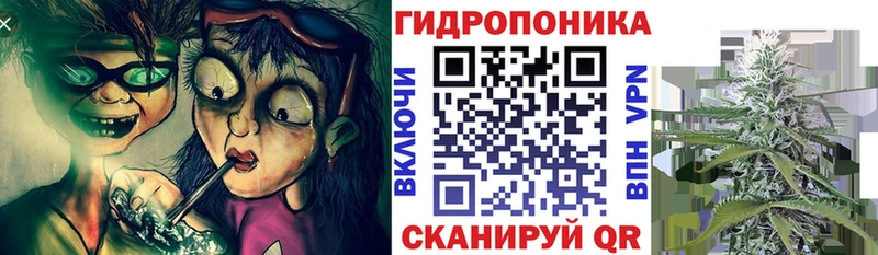 Конопля Amnesia  хочу наркоту  Жердевка 